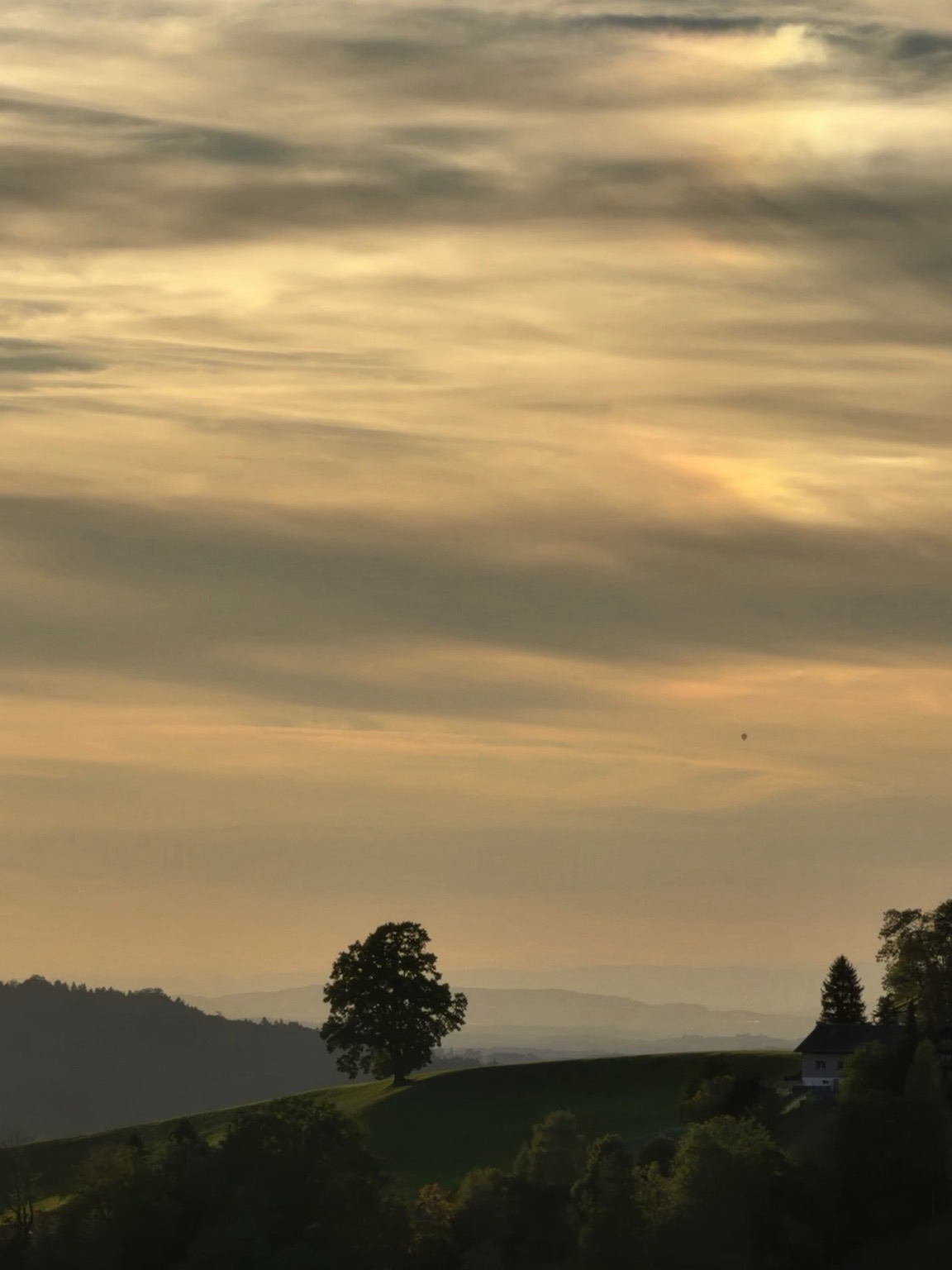 ein landschaftsbild mit einem exponierten baum vor einem gelblichen wolkenhimmel und einem kleine luftballon in der ferne