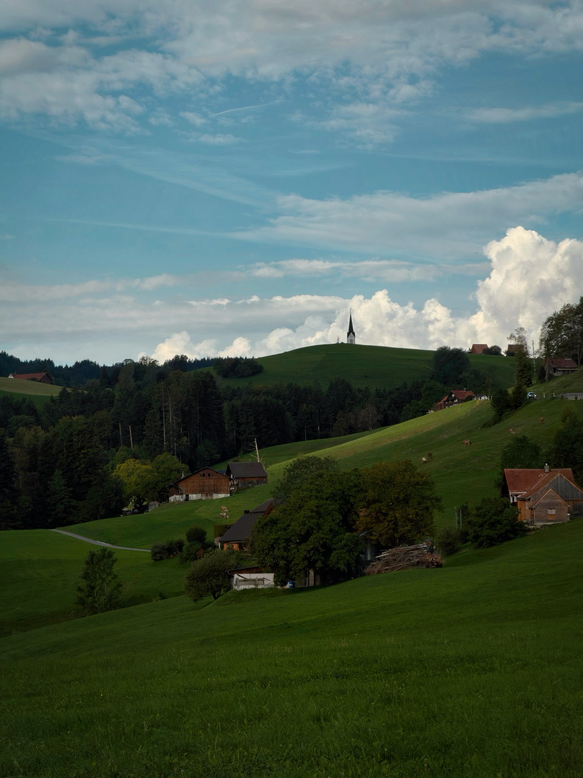wald und wiesen und einige appenzeller häuser. hinter dem hügel ein kirchturm