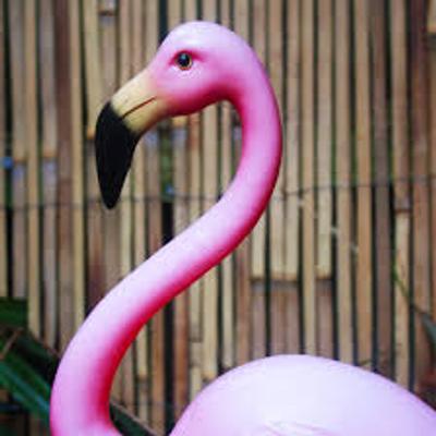 remlee@theforkiverse.com