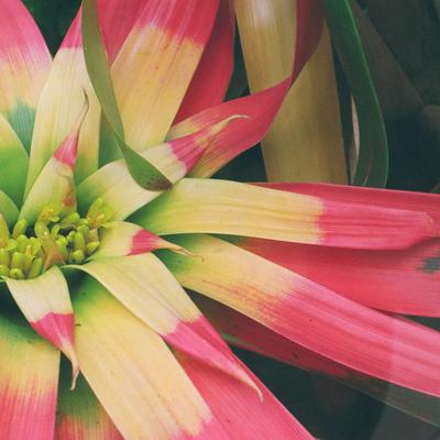 quicksand@theforkiverse.com