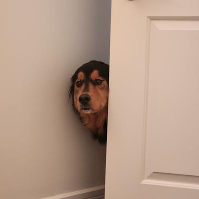 mattf@theforkiverse.com