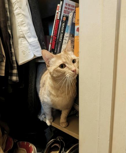 Posted media