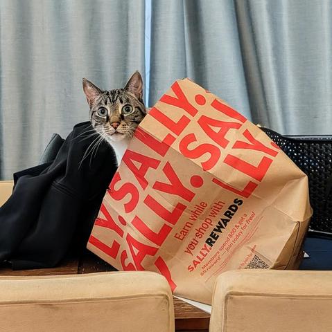 Posted media