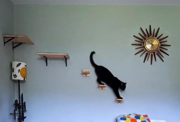 A black cat mid-stride, descending a wall-mounted cat climbing system — small wooden steps and shelves fixed to a pale green wall. The cat is fully extended in motion, reaching between two small steps, its silhouette elegant against the plain background. To the right, a sunburst clock. To the left, a lamp with a patterned shade. The room has a clean mid-century feel.