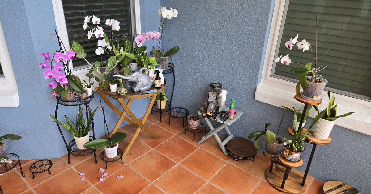 Icon for thorium.masto.host