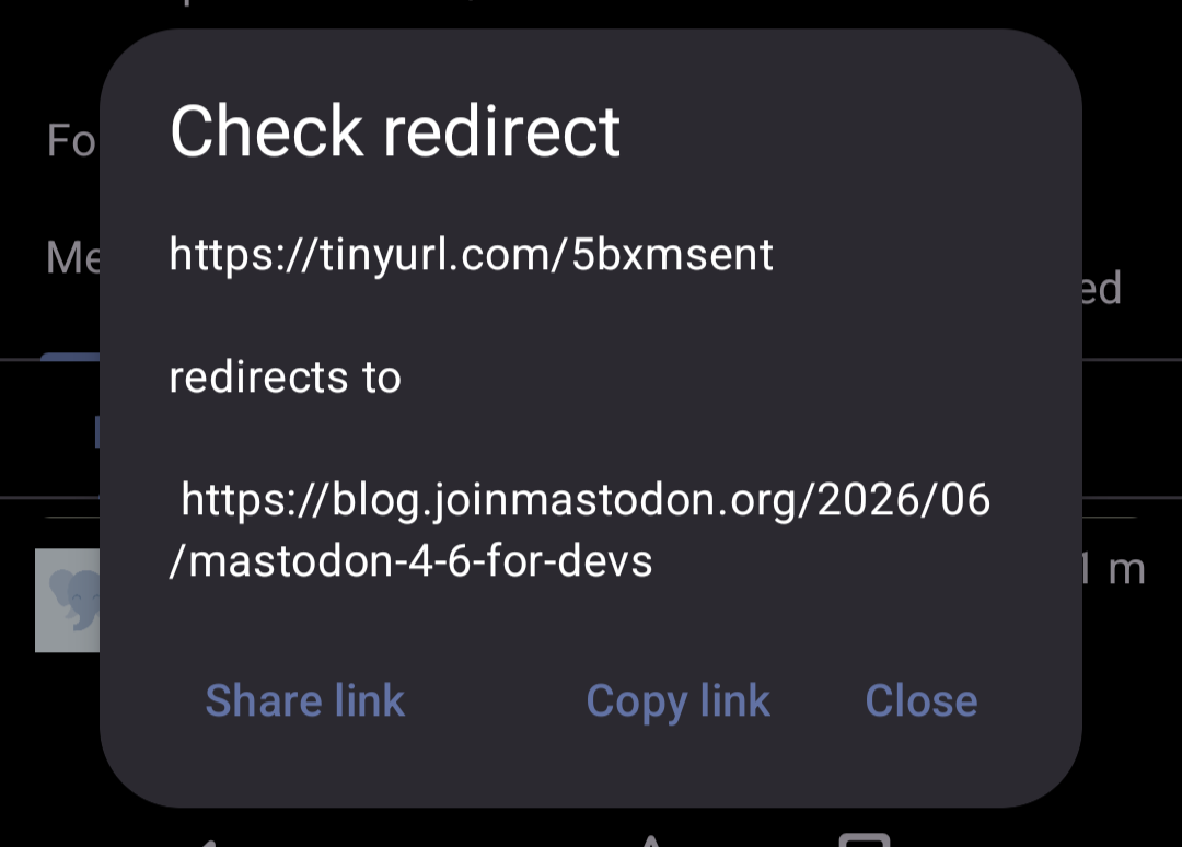 A "Check redirect" dialog showing the destination of the URL, allowing it to be opened directly without going through the redirect.