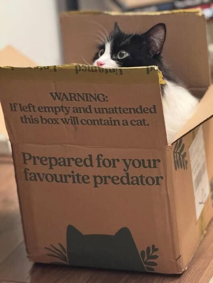 An open cardboard box.  One of the flaps reads, "WARNING: If left empty and unattended this box will contain a cat."  Directly beneath that, the side of the box reads, "Prepared for your favourite predator" with a whiskered silhouette of a cat head beneath.  True to form, inside the box and partly concealed by the upper flap is a black and white cat with green eyes, looking up and to the side.