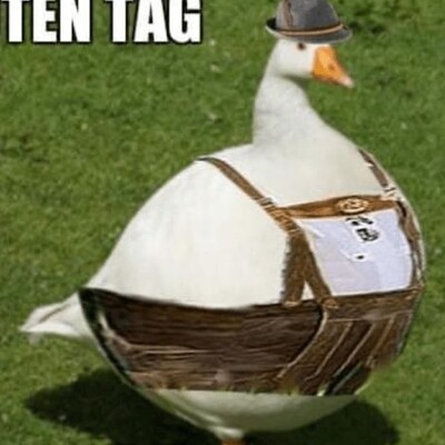 gregortactac