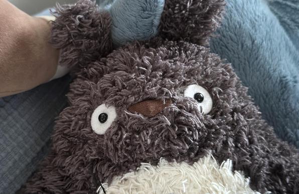 a woodland totoro plushie — skrunkly dark grey-brown fur with a cream-colour skrunkly tummy — is staring somewhat wildly into the camera. their nose is brown, and their eyes are white with black centres. they look scared and confused and concerned. 
above and behind them are hints of smolhaj.