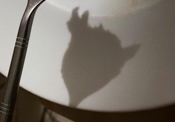 a poor-quality image taken in low light of a shadow shape on the rim of a white plate. it has a large body and two sort of antler ears and a stubby tail. the stainless-steel handle of a fork can be seen at the left of the image.