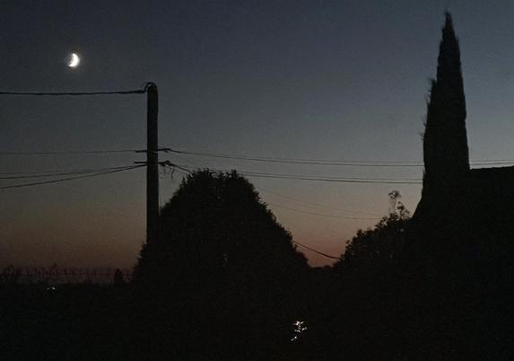 a night scene in a slightly grainy photograph that was taken through window glass. in the top left corner, the waxing crescent moon glows silver white. the dark sky is a top-to-bottom gradient of blue to aqua to golden to dark orange, and there's the tiny dot of antares to the right of the middle. 
there's a wooden telegraph pole on the left of the scene, wires gently drifting off go it to the left and right and down to the roof of a house out of view. almost in the centre of the image, there's the dark shape of a large shrub that looks like a truncated cone, and then some more foliage, and then, further to the right, a very tall and pointy shrub tree. it's much taller even than the roof line that's visible just at the right side of the image, telegraph wires skimming its top.
below the conical shrub is a small and unidentifiable shape made of multiple tiny lights: something in a neighbour's garden seen through shrubbery, perhaps, or a mini constellation come down to nest close to earth. far off in the distance on the left are two more tiny lights, like the eyes of a sleepy creature who's very glad that night has finally fallen.
