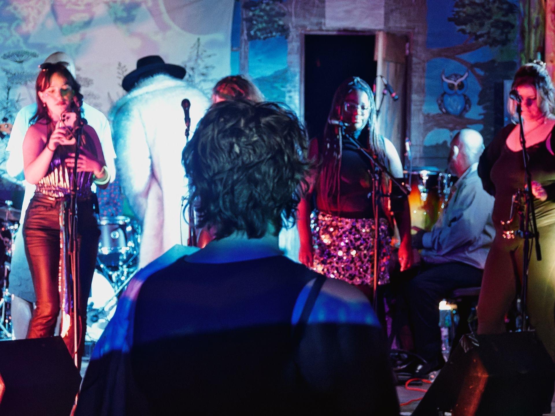 A live band performance seen from just behind an audience member's head in the foreground, their curly dark hair centered in the frame. On stage, a woman in rust-red pants sings into a mic at left, a figure in a white fur coat and black hat stands center-back, a woman with long red braids and a sequined skirt performs at a mic stand, and two more musicians flank the right — one seated at a drum kit. The backdrop is a painted mural in blues and greens featuring trees and an owl, bathed in warm stage lighting.