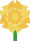 :daffodil:
