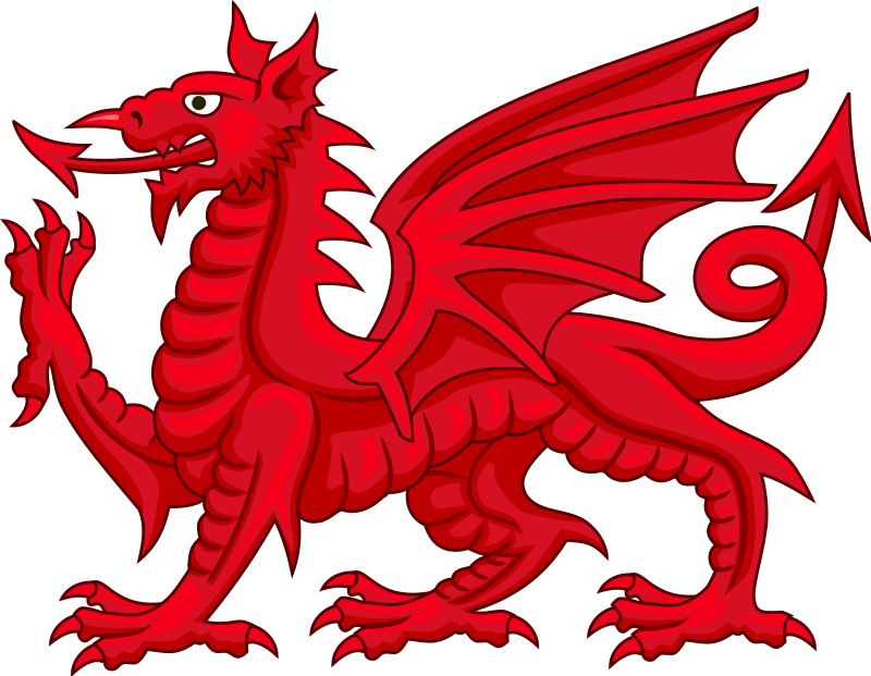 :draig: