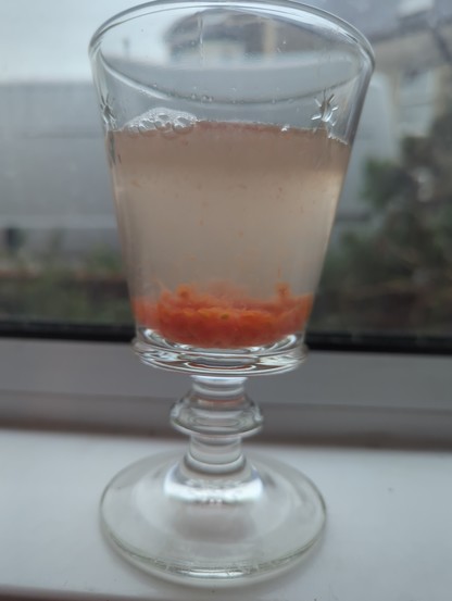 A wine glass on a windowsill filled with water, and a red mush at the bottom. 