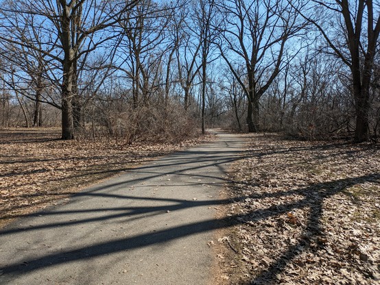 The trail continues out into the woods. The trees have no foliage on them and there are plenty of leaves on the ground.