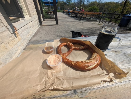 A giant pretzel next to a container of cheese and a container of honey mustard on a table with a black lab looking up towards the camera on the other side