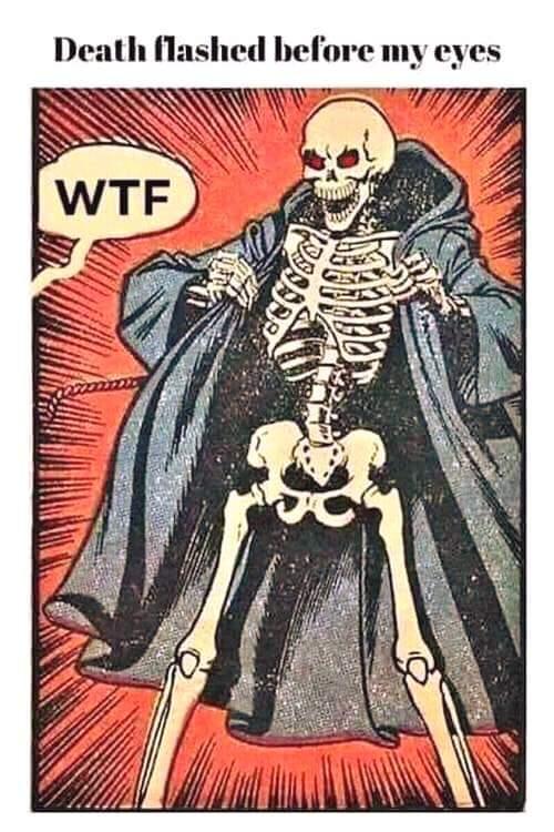 A meme. The caption reads: Death flashed before my eyes. The image is of a skeleton wearing a trench coat, exposing themselves. A speech bubble to the side says, "WTF" 