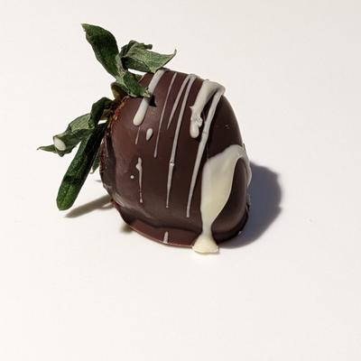 naminas@turtleisland.social