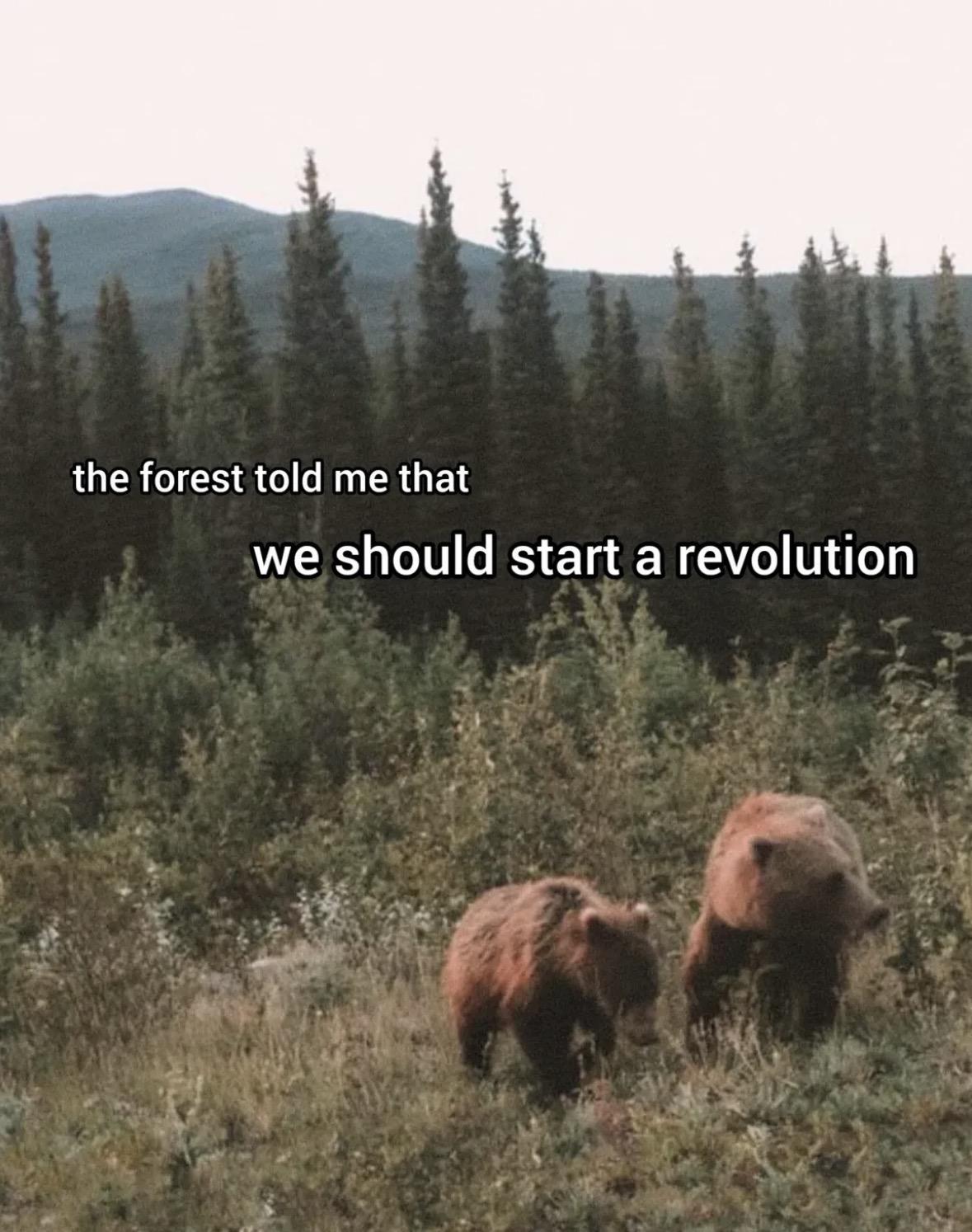 Meme photo of brown bears on a hill with the forest and mountains behind them. Text reads: the forest told me that we should start a revolution