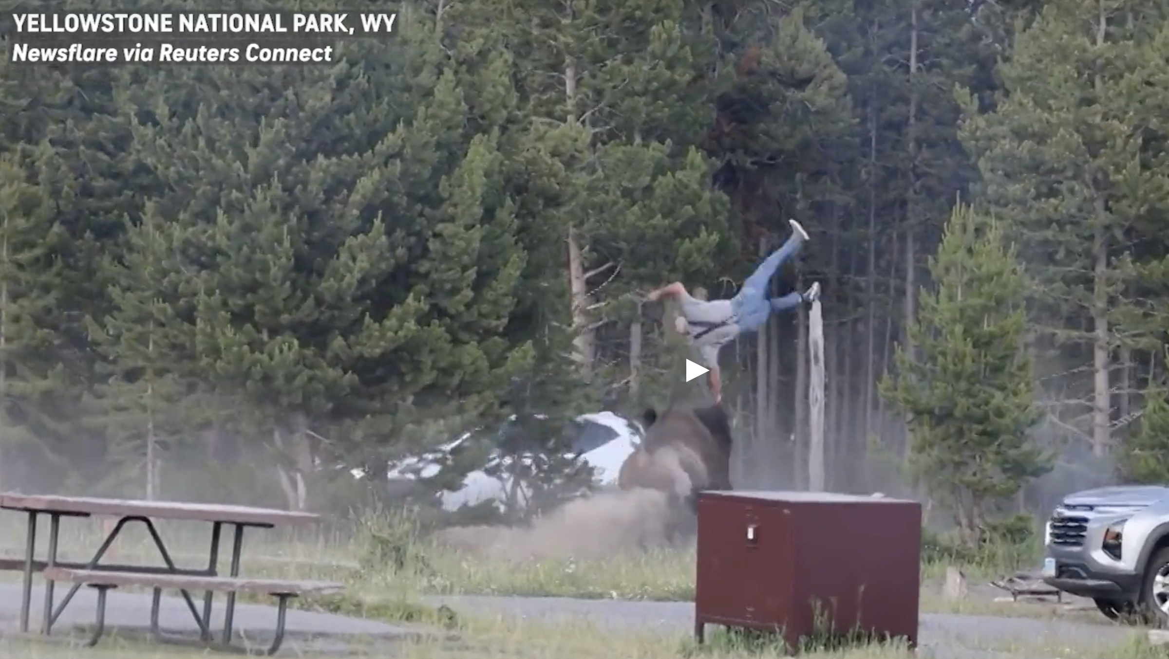 65-year-old white man being tossed 8 feet into the air by a bison