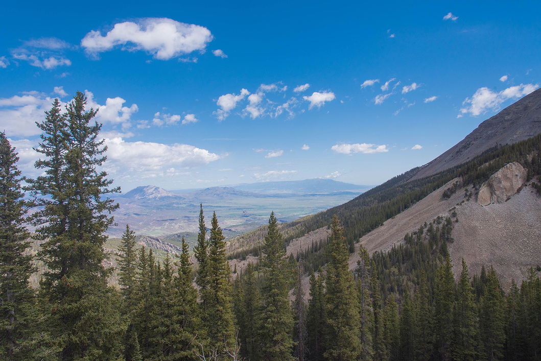 Header Image