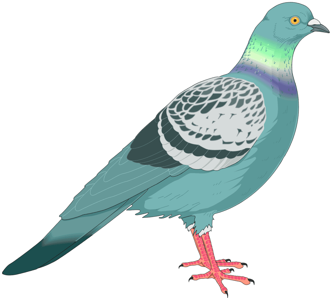 :PIGEON_PNG: