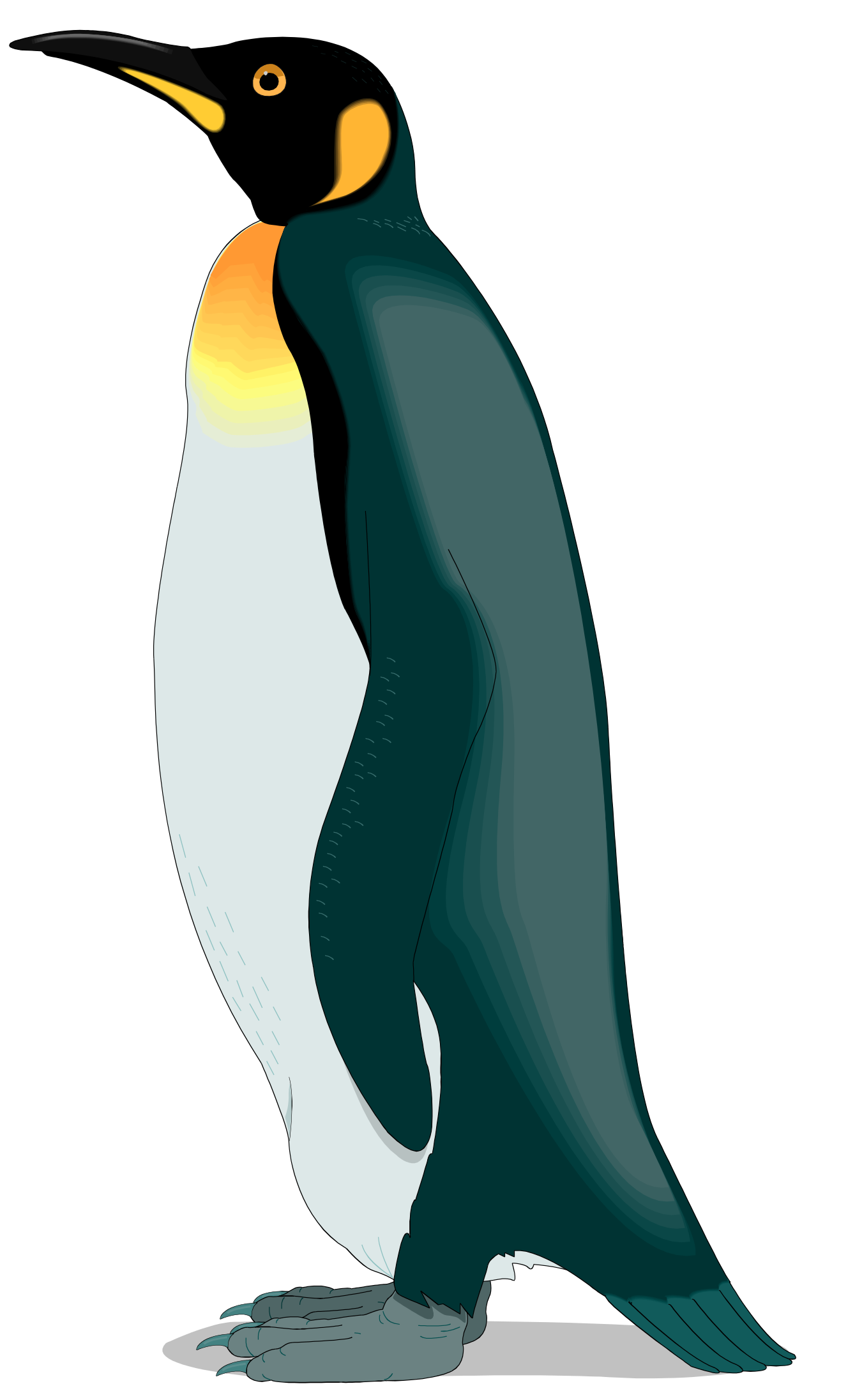 :KINGPENG_PNG:
