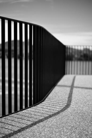 Black and white image of curved shadows made by a metal fence and railing.