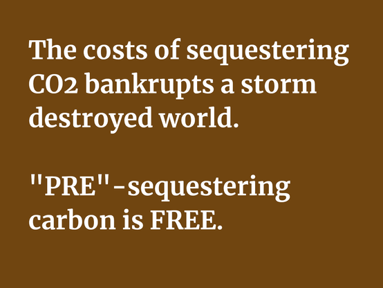 The costs of sequestering CO2 bankrupts a storm destroyed world.

"PRE'" -sequestering carbon is FREE.