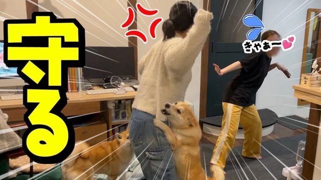 ママと娘が喧嘩勃発！まさか娘に味方する柴犬