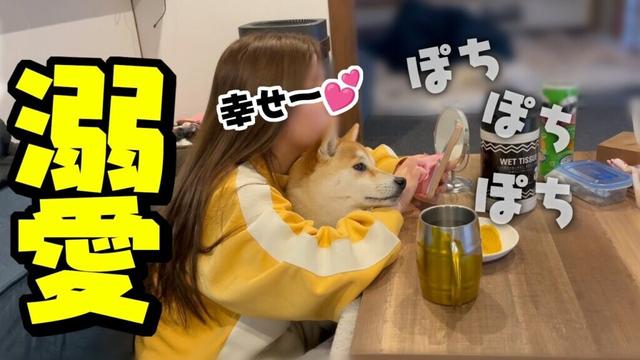 娘が柴犬に好かれ過ぎた結果…まさかの悲劇に見舞われるwwww