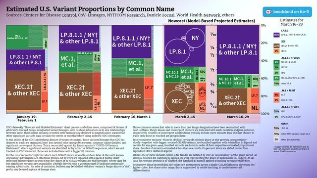 Chart: Estimated U.S. Variant Proportions by Common Name
Sources: Centers for Disease Control, CoV-Lineages, NYITCOM Research, Daniele Focosi, World Health Network, others

[ beadsland on Ko-fi ]

Reskin of CDC's Variants Nowcast, and any significant variants in GISAID not broken out by CDC.

Five bar-style tree-charts, for fortnights through March 16–29. Legend of last fortnight, organized by subheadings of color-grouped families and convergent clusters. Percentages overlay each color key, reflecting share as of most recent tree-chart.

Essentially all WHO-Vaccine-Target JN.1. LP.8.1 accounts for well over half; JN.1 + FLiRT for over a quarter.

For fortnight of 3/2–3/15, packed bubble charts fill single-variant tiles, indicating diversification of those variants (per GISAID) that wouldn't otherwise be apparent from CDC's Nowcast.

Legend:

LP.8.1 [purple]:
55% - LP.8.1.1 / NY† & other LP.8.1

XEC [browns]:
21% - XEC.2† & other XEC
2% - XEC.4

JN.1.11 + FLuQE [greens]:
6% - MC.10.1 & MC.19
3% - MC.28.1
2% - XEQ
4% - MC.1 & other KP.3.1.1 / MC
⅘% - other KP.3

JN.1 + FLiRT [reds]:
4% - LF.7
2% - LB.1.3.1 / NL

JN.1.11 + FLiRT [blues]:
½% - XEK
0% - KP.2.3 & KP.1.1.3 / LP

Other [greys]:
⅖% - JN.1.16
⅙% - other WHO-Vaccine-Target JN.1
0% - Other (not specified)

† Dagger variants are not broken out by CDC, yet represent a significant share of recent GISAID sequences.