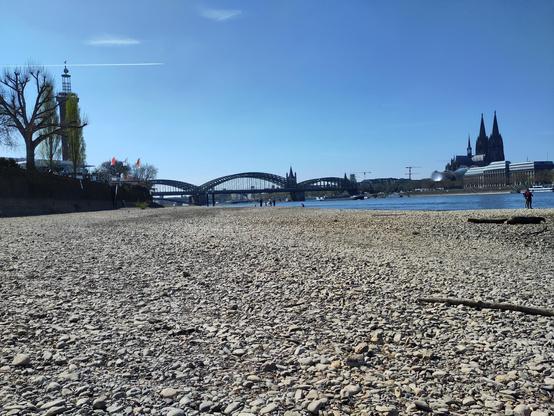 Das Bild zeigt den Rhein in Köln, Deutschland bei Niedrigwasser im April 2025. Im Vordergrund erstreckt sich ein breiter, steiniger Uferstreifen, der von kleinen, runden Steinen bedeckt ist. Hier ist normaler Weise Wasser. Im Hintergrund ist der Hohenzollernbrücke mit ihren charakteristischen Bögen zu sehen, die den Rhein überquert. Auf der rechten Seite des Bildes erhebt sich majestätisch die Kölner Dom, ein bekanntes Wahrzeichen der Stadt, mit seinen markanten Spitzen. Links im Bild ist der Messeturm zu erkennen. Er ist mit Flaggen geschmückt ist. Der Himmel ist klar und blau, und es gibt nur wenige Wolken. Einige Menschen sind am Ufer zu sehen, einige stehen am Wasser, während andere sich in der Nähe des Ufers befinden. Der Rhein ist ruhig und spiegelt den blauen Himmel wider.