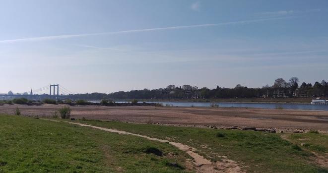 Das Bild zeigt eine ruhige Landschaft am Ufer des Rheins. Im Vordergrund erstreckt sich ein grasbewachsener Bereich mit einem schmalen, unbefestigten Weg, der sich durch das Gras schlängelt. Der Flussuferbereich ist trocken und sandig, mit vereinzelten Büschen und Gräsern. Im Hintergrund erstreckt sich der Rhein. Er wird von einer Reihe von Bäumen gesäumt. Auf der gegenüberliegenden Uferseite ist der Brückenkranz der Rodenkirchener Brücke zu sehen, die über den Fluss führt. Weiter hinten sind einige Gebäude und ein Turm erkennbar, die die Stadtlandschaft abrunden. Der Himmel ist klar und blau mit einigen feinen Wolkenstreifen.