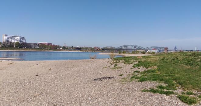 Das Bild zeigt eine ruhige Szene am Ufer des Rheins mit einem klaren blauen Himmel. Im Vordergrund befindet sich ein Kiesstrand mit vereinzelten Grasbüscheln. Hier ist normaler Weise Wasser. Der Fluss ist ruhig und spiegelt den Himmel wider. Im Hintergrund ist der Hohenzollernbrücke mit ihren charakteristischen Bögen zu sehen, die den Rhein überquert. Auf der rechten Seite des Bildes erhebt sich majestätisch die Kölner Dom, ein bekanntes Wahrzeichen der Stadt, mit seinen markanten Spitzen.