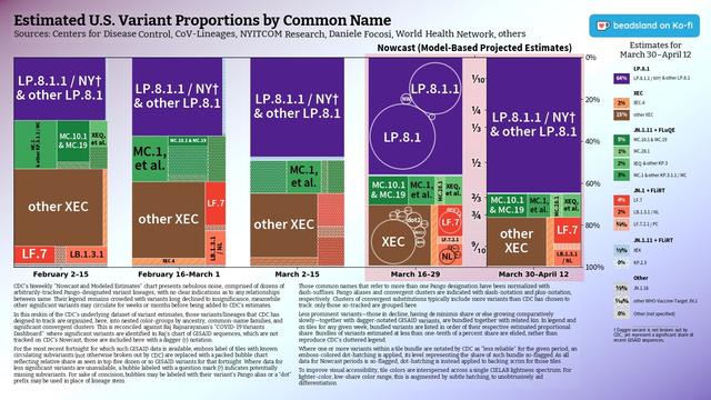 Chart: Estimated U.S. Variant Proportions by Common Name
Sources: Centers for Disease Control, CoV-Lineages, NYITCOM Research, Daniele Focosi, World Health Network, others

[ beadsland on Ko-fi ]

Reskin of CDC's Variants Nowcast, and any significant variants in GISAID not broken out by CDC.

Five bar-style tree-charts, for fortnights through Mar 30–Apr 12. Legend of last fortnight, organized by subheadings of color-grouped families and convergent clusters. Percentages overlay each color key, reflecting share as of most recent tree-chart.

Essentially all WHO-Vaccine-Target JN.1. LP.8.1 accounts for over three fifths; JN.1 + FLiRT for near a quarter.

For fortnight of 3/16–3/29, packed bubble charts fill single-variant tiles, indicating diversification of those variants (per GISAID) that wouldn't otherwise be apparent from CDC's Nowcast.

Legend:

LP.8.1 [purple]:
64% - LP.8.1.1 / NY† & other LP.8.1

XEC [browns]:
2% - XEC.4
15% - other XEC

JN.1.11 + FLuQE [greens]:
5% - MC.10.1 & MC.19
1% - MC.28.1
2% - XEQ & other KP.3
3% - MC.1 & other KP.3.1.1 / MC

JN.1 + FLiRT [reds]:
4% - LF.7
2% - LB.1.3.1 / NL
¾% - LF.7.2.1 / PC

JN.1.11 + FLiRT [blues]:
½% - XEK
0% - KP.2.3

Other [greys]:
⅓% - JN.1.16
⅒% - other WHO-Vaccine-Target JN.1
0% - Other (not specified)

† Dagger variant is not broken out by CDC, yet represent a significant share of recent GISAID sequences.
