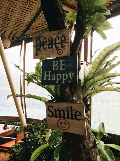 Three Wooden Signs attached to a tree, that read Peace; Be Happy and Smile. The sign for smile has a little smiley face in red under the word.

The image has a creative commons license and is available for free download from Pexels.com