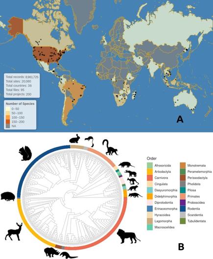 Figure 1 from the paper, consisting of a global map of observation locations, with countries colored by the number of species (the maximum is in the U.S.), and a circular chart showing the phylogeny of the 445 species, with representative silhouettes around the border.