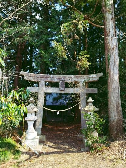 A gray stone torii gate and a pair of also gray stone lanterns in front of a path that leads through woods to a small countryside shrine that's barely visible in the background. On the torii hangs a rope with a last remaining shide paper streamer, the rest has been blown off.