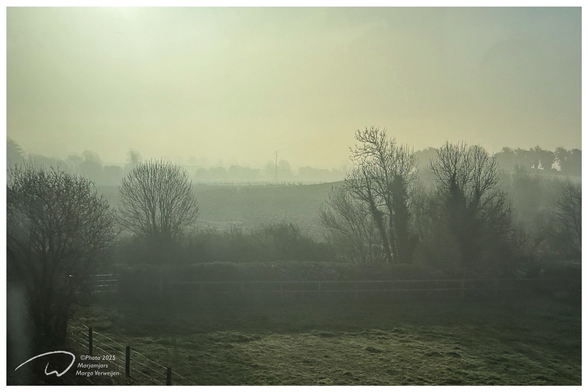 View on the early morning damp irish countryside with fields and trees waking up in a low sun. A fence on the left.