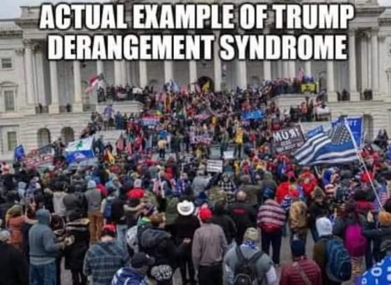 The image depicts a large crowd gathered in front of a significant building, likely a government or historical structure, with many people holding flags and signs. The text at the top reads "ACTUAL EXAMPLE OF TRUMP DERANGEMENT SYNDROME," suggesting a satirical or critical perspective on political views related to former President Donald Trump. The meme appears to be aimed at highlighting or mocking the intensity of political sentiments among supporters.