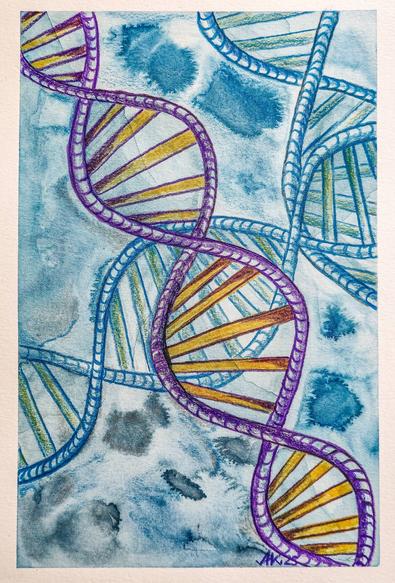 Teilabstrakt auf einem blauen Hintergrund sind drei DNA Stränge gezeichnet zwei davon in einem blau Ton.  Von rechts unten nach links oben  läuft ein Strang in violett im Vordergrund durch das Bild. Die querverbindungen der Stränge sind in einem dunklen gelb.  Auf dem Hintergrund sind einige dunkel blauen unregelmäßige Fleck die man als Zellhaufen und damit als Beginn des Lebens deuten kann