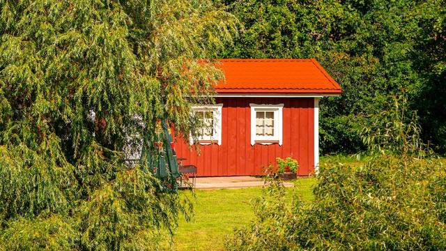 Tenancy Tribunal powerless in family dispute over brother’s ‘untidy’ cabin on sister’s property