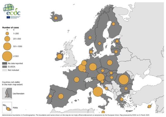 Country reports from Austria, Belgium, Bulgaria, Croatia, Cyprus, Denmark, Finland, France, Germany, Greece, Hungary, Iceland, Ireland, Italy, Latvia, Liechtenstein, Lithuania, Luxembourg, Malta, the Netherlands, Norway, Poland, Portugal, Romania, Slovakia, Slovenia, Spain, Sweden.