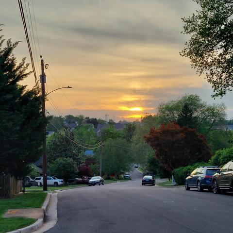 A view of a sunset taken from the top of a street sloping downward from the camera. The sky is orange-yellow-grey.
There are lots of trees in the lower half.