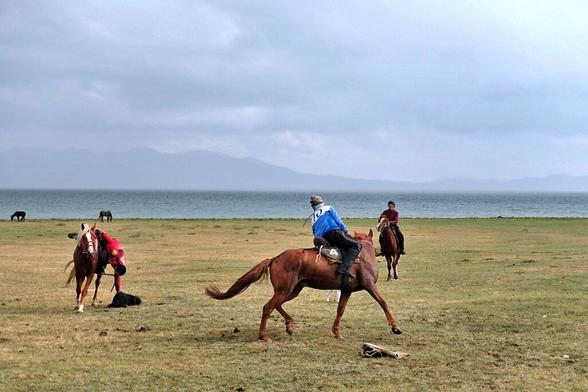 The powerful game of Kok-Burro at the shores of Lake Son-Kul. What an incredible skill and horsemanship of the Kyrgyz people. One can only be in awe of the raw force in animal, human and the surrounding nature. 

#Kyrgysztan #horses #landscape #sport #silkroad #overland #travel #travelphotography #photography #landscapephotographgy #solotravel #solofemaletravel