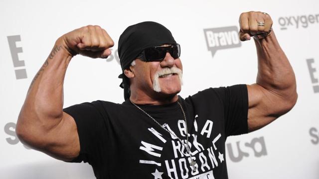 Pro wrestling icon Hulk Hogan to be commissioner of Real American Freestyle