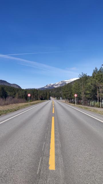 Norwegische Bundesstraße aus zentraler Perspektive. Kein Verkehr