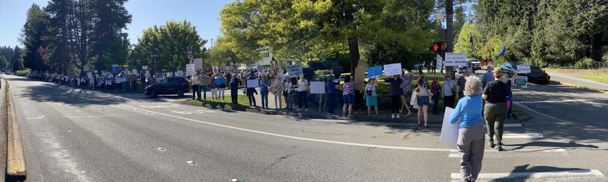 one corner of lake forest park next to bothell way/state route 522 filled with protestors down to the far end of town centre
